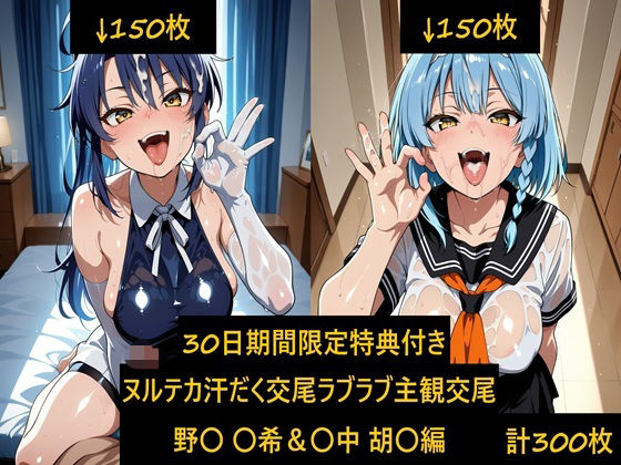 D 806628pl